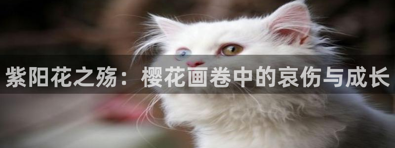 动漫之家下载
