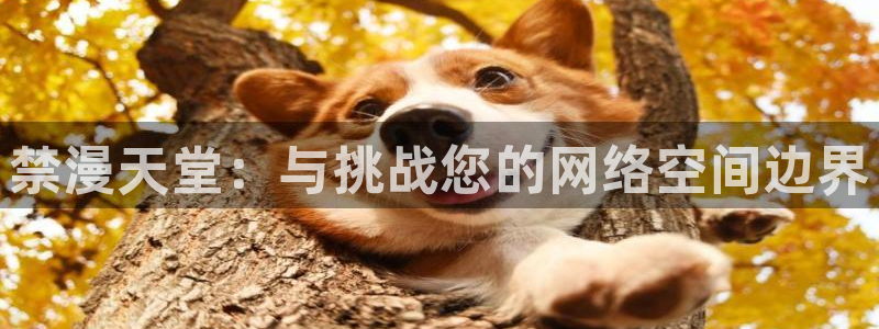 动漫之家下载网
