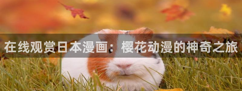 动漫之家官网版入口