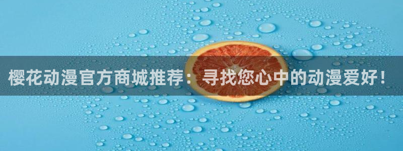 动漫之家下载网