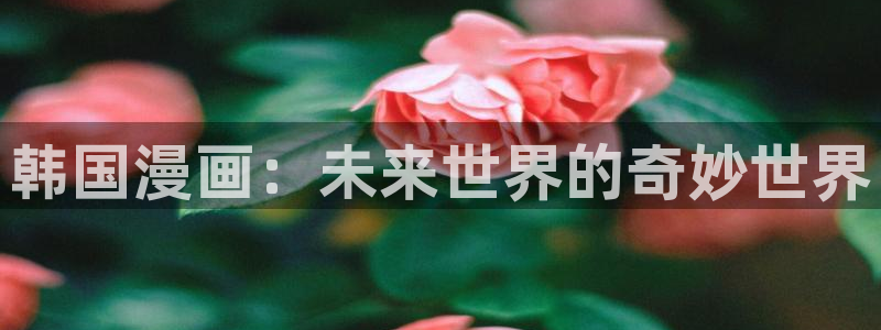 动漫之家樱花
