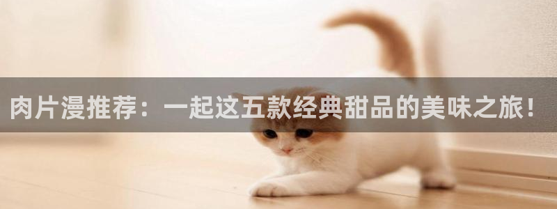 age专注动漫的门户网站