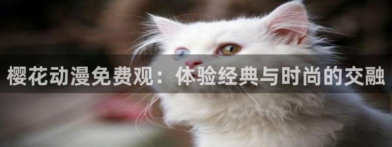 colomanage漫画官网