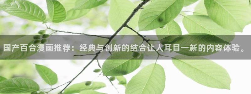 动漫之家网