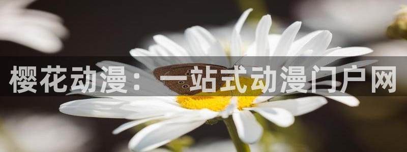 colamanage漫画下载：樱花动漫：一站式动漫门户网
