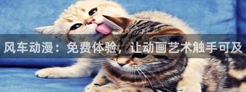 动漫之家正版网：风车动漫：免费体验，让动画艺术触手可及