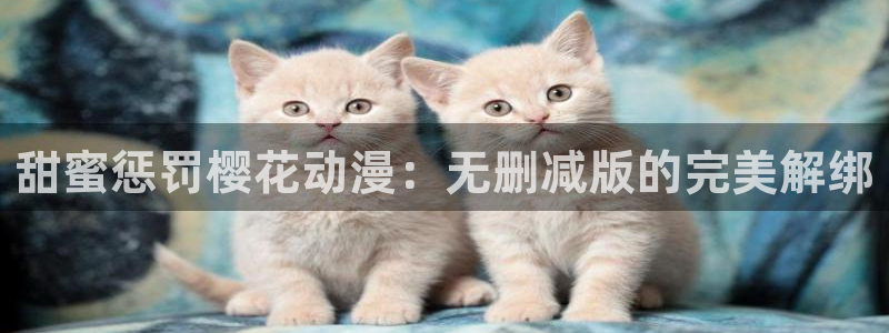 动漫之家正版网：甜蜜惩罚樱花动漫：无删减版的完美解绑